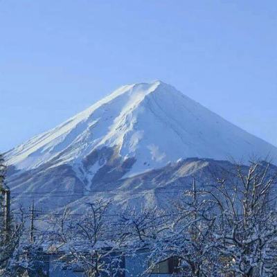 打铁英雄手机版(暂未上线)v1.0.0 安卓最新版